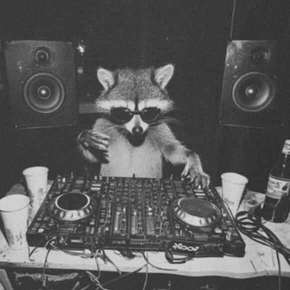 Animal DJ Shirt, Funny DJ Shirt, Raccoon Meme Tee - Picture 2 of 4